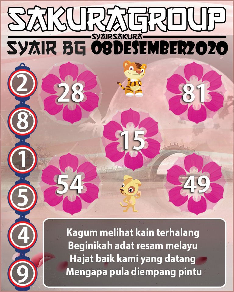 SYAIR TOGEL BELGIUM