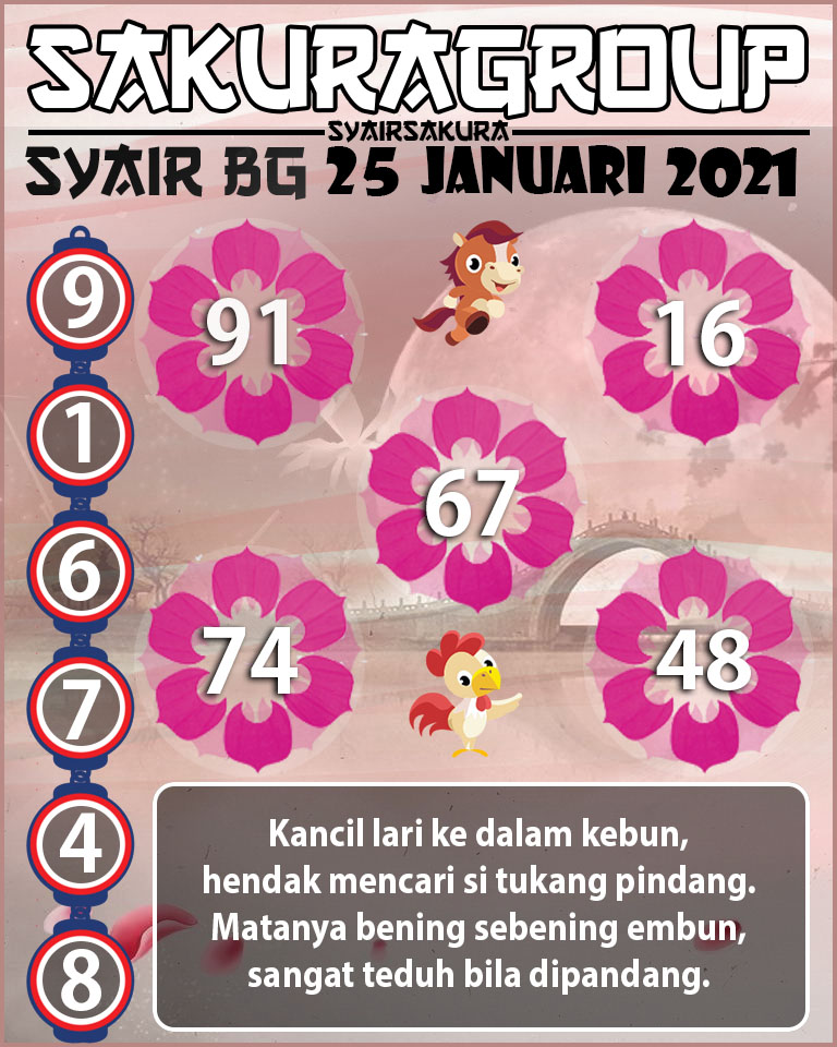 SYAIR TOGEL BELGIUM