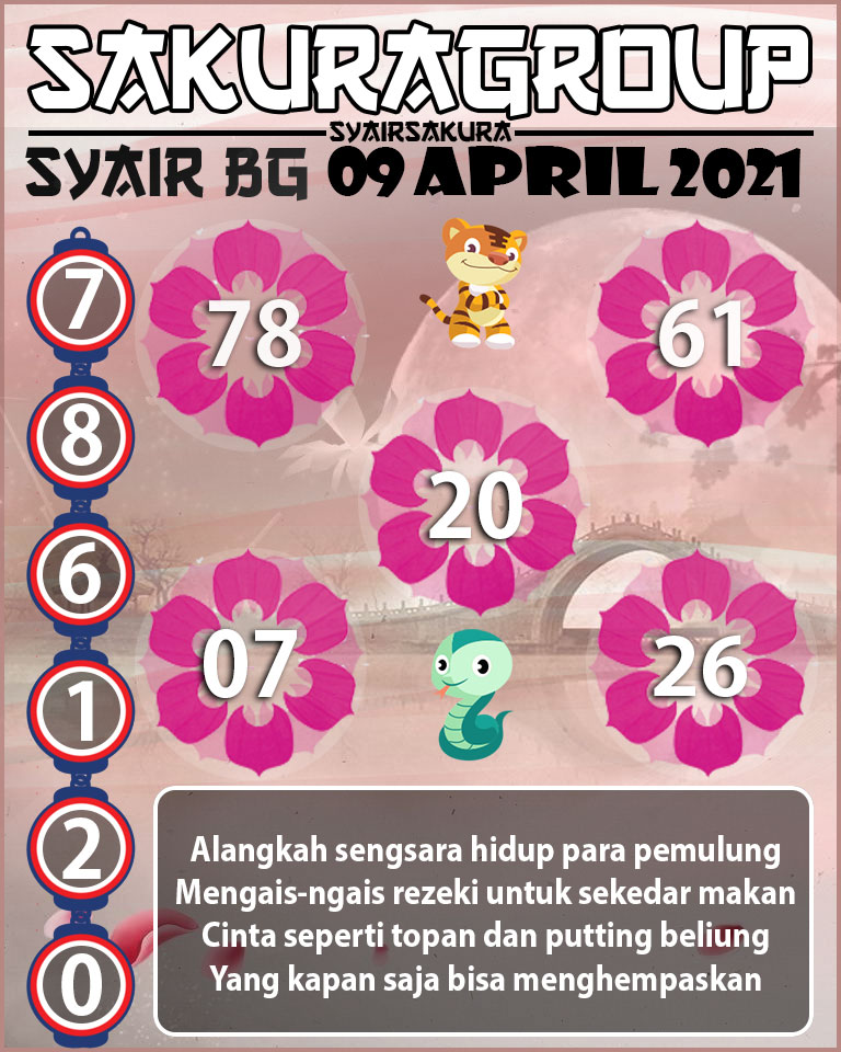 SYAIR TOGEL BELGIUM