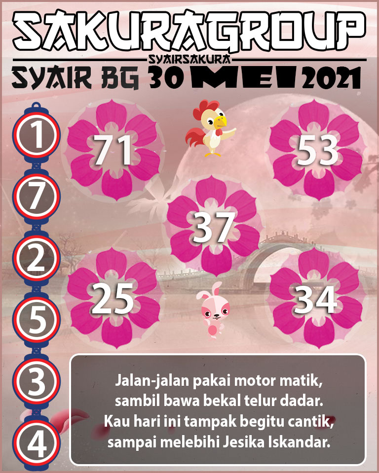 SYAIR TOGEL BELGIUM