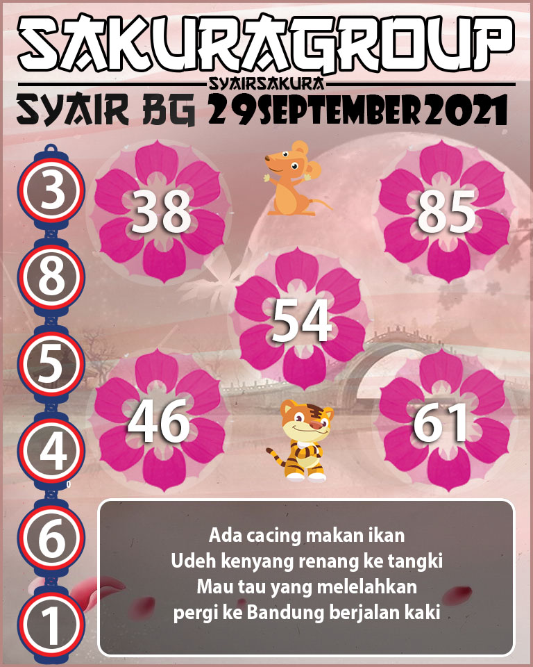 SYAIR TOGEL BELGIUM