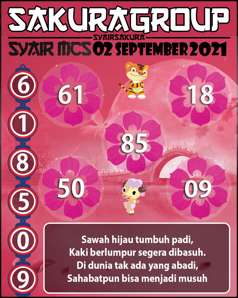 SYAIR TOGEL MACAU SWEEP