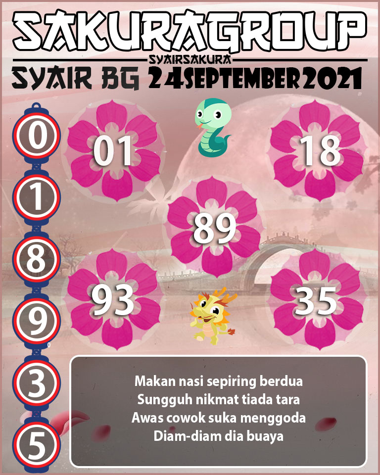 SYAIR TOGEL BELGIUM