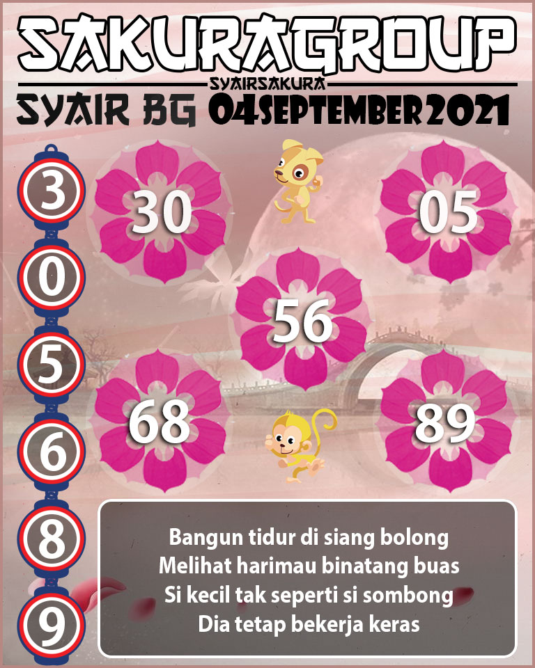 SYAIR TOGEL BELGIUM