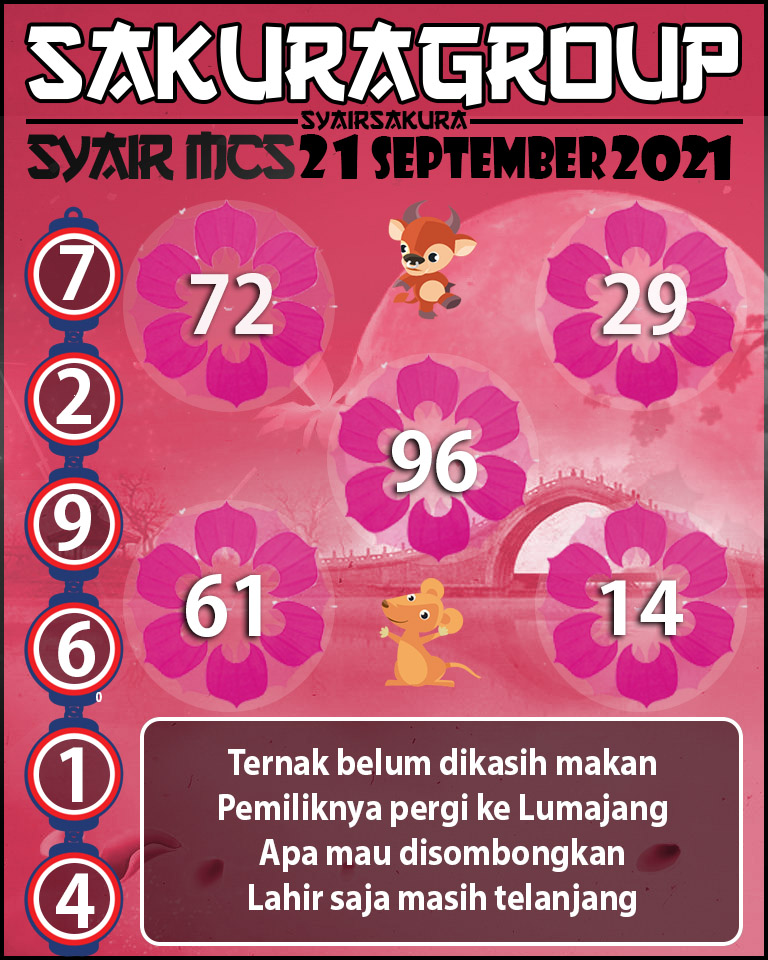 SYAIR TOGEL MACAU SWEEP