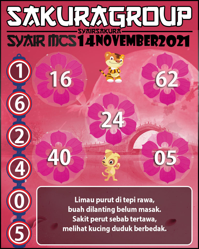 SYAIR TOGEL MACAU SWEEP