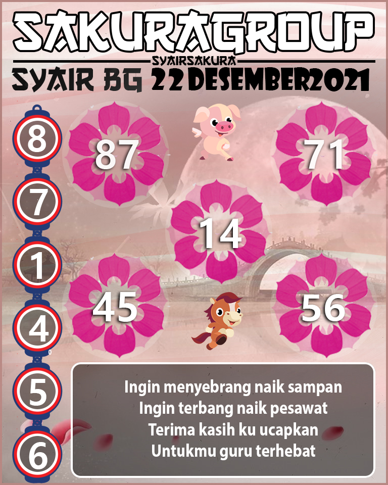 SYAIR TOGEL BELGIUM