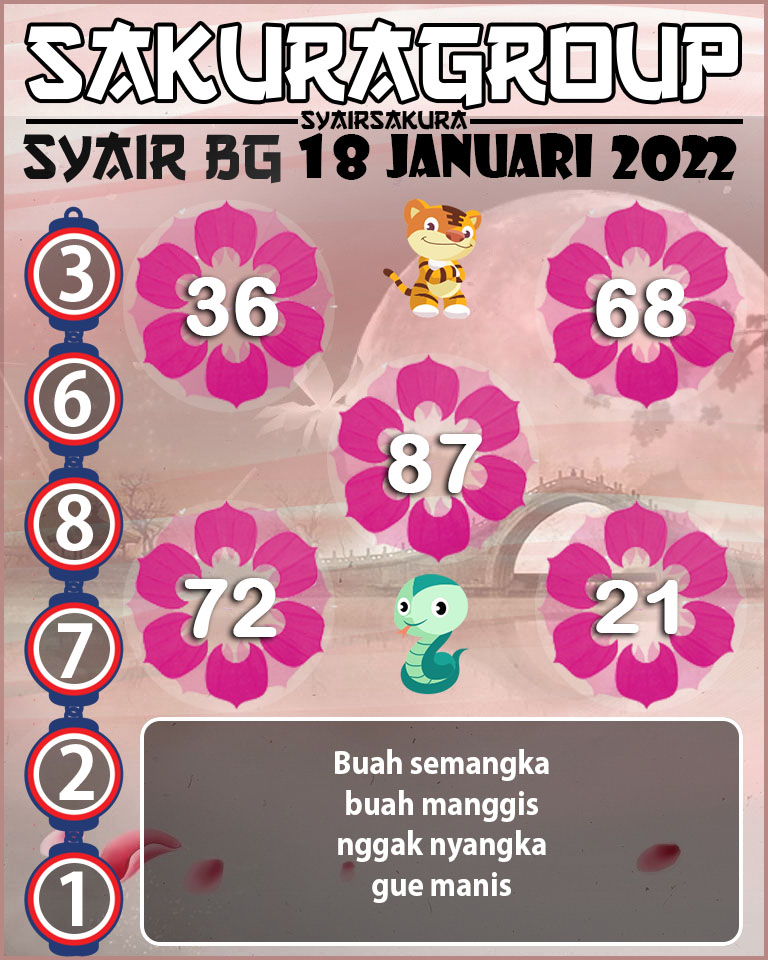 SYAIR TOGEL BELGIUM