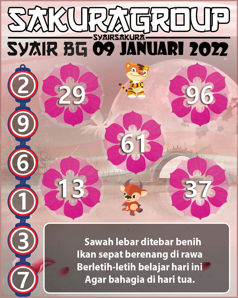 SYAIR TOGEL BELGIUM