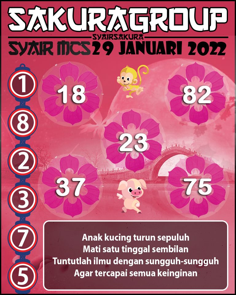 SYAIR TOGEL MACAU SWEEP