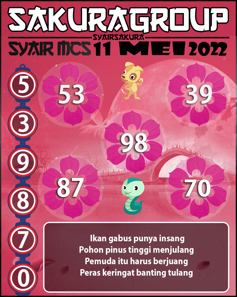 SYAIR TOGEL MACAU SWEEP