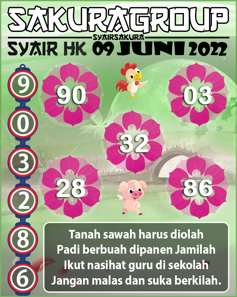 SYAIR TOGEL HONGKONG