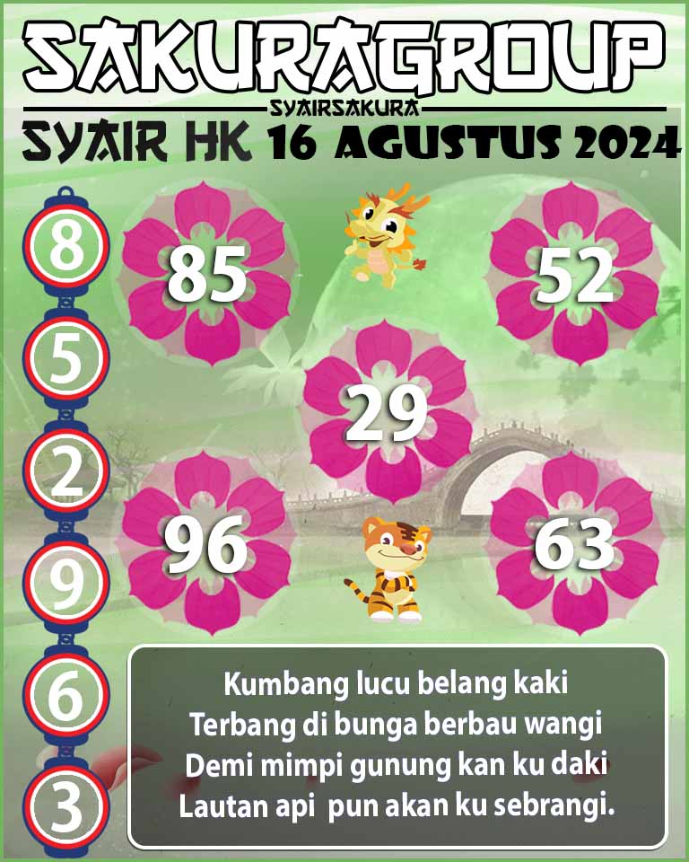 SYAIIR HK