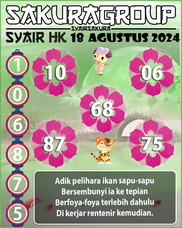 SYAIR HK