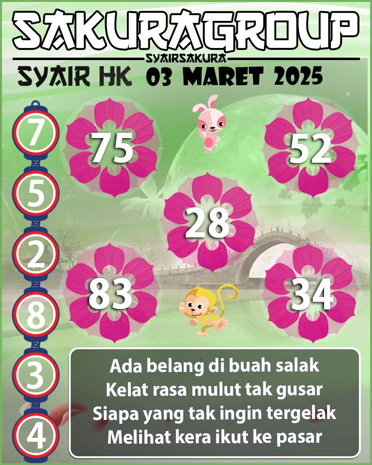 SYAIR HK