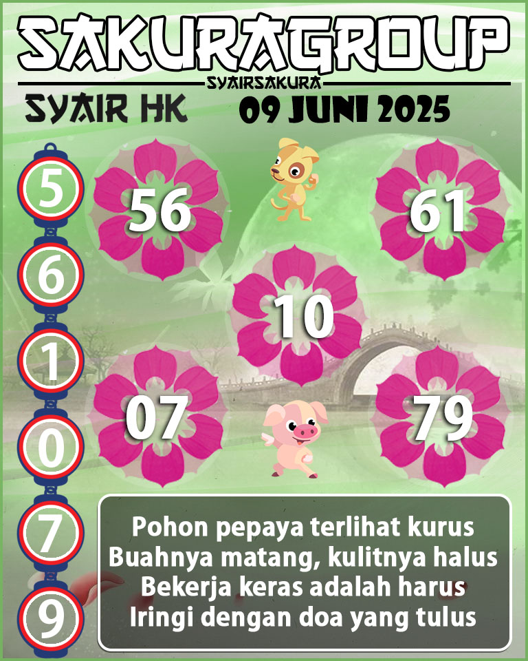 SYAIR HK HARI INI